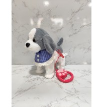 PERRO MASCOTA CON CONTROL