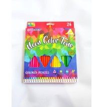 LAPIZ DE COLOR 24 UND