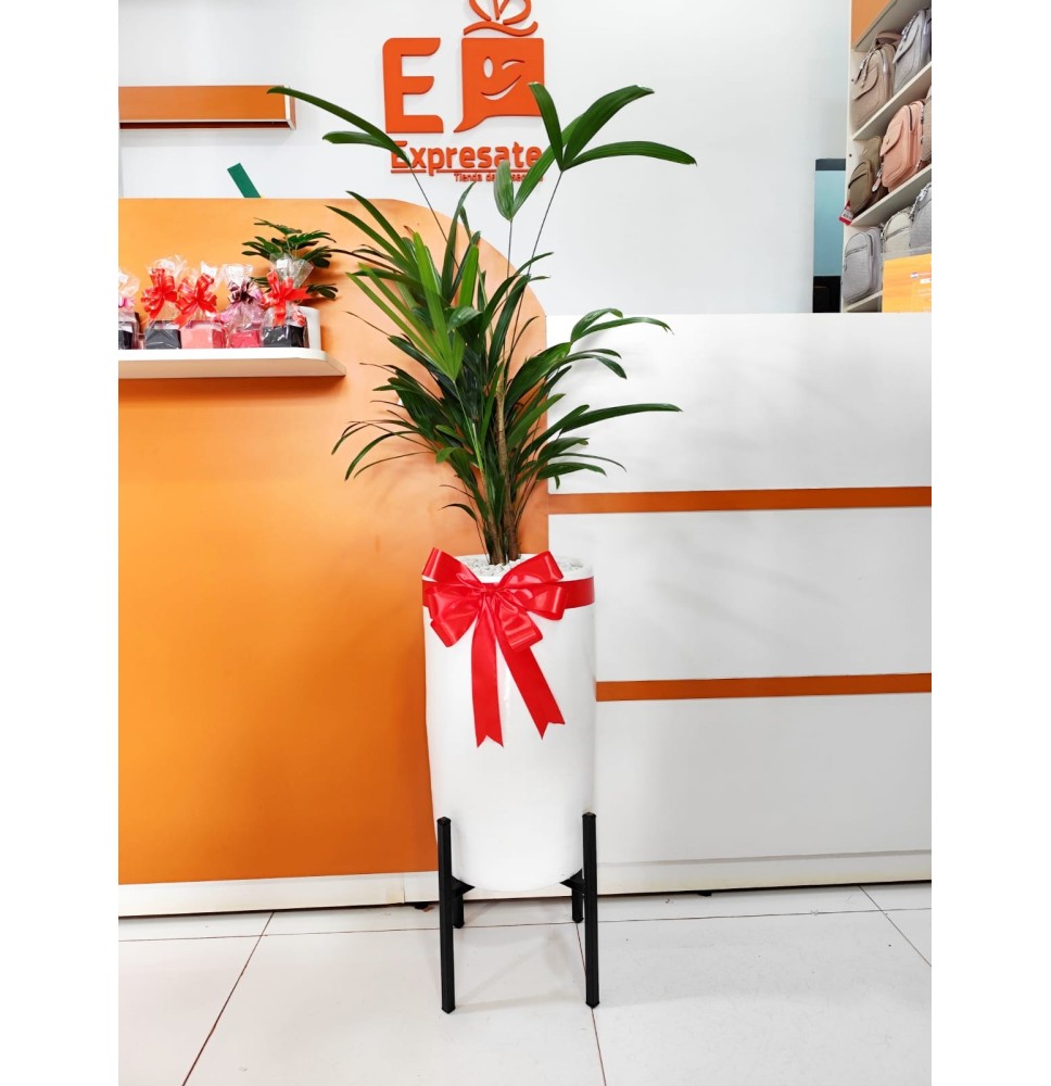 PALMERA RAFIA CON SOPORTE
