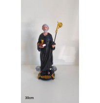 SAN BENITO 30CM